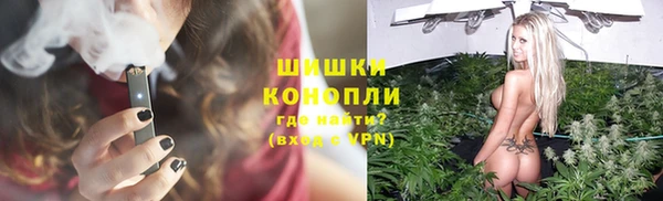 трава Бородино