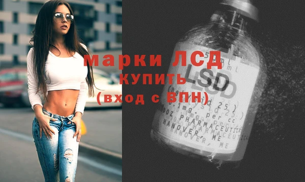 трава Бородино