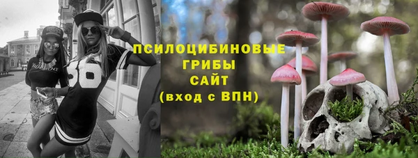 трава Бородино