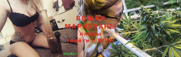 трава Бородино